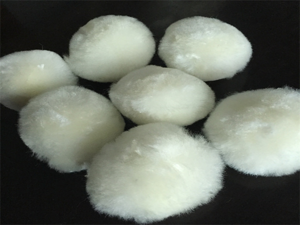 src=http___cbu01 src=http___cbu01