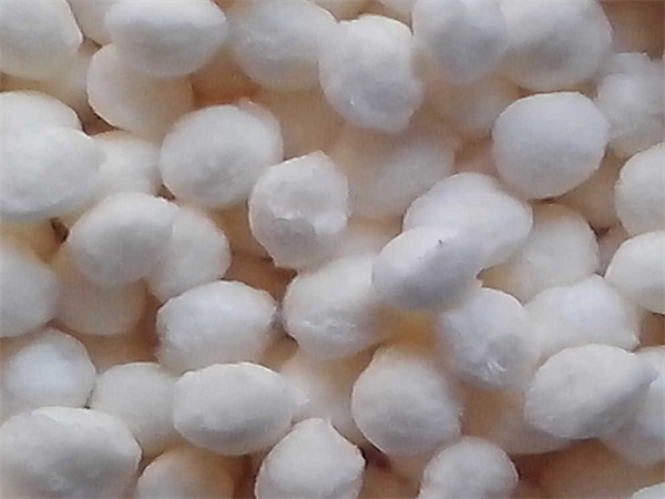 src=http___img005 src=http___img005