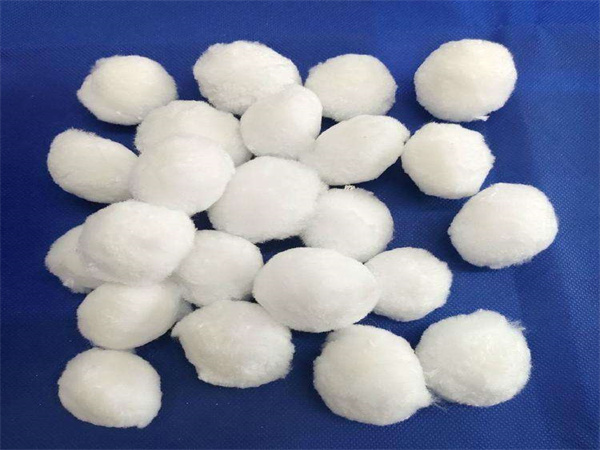 src=http___img src=http___img